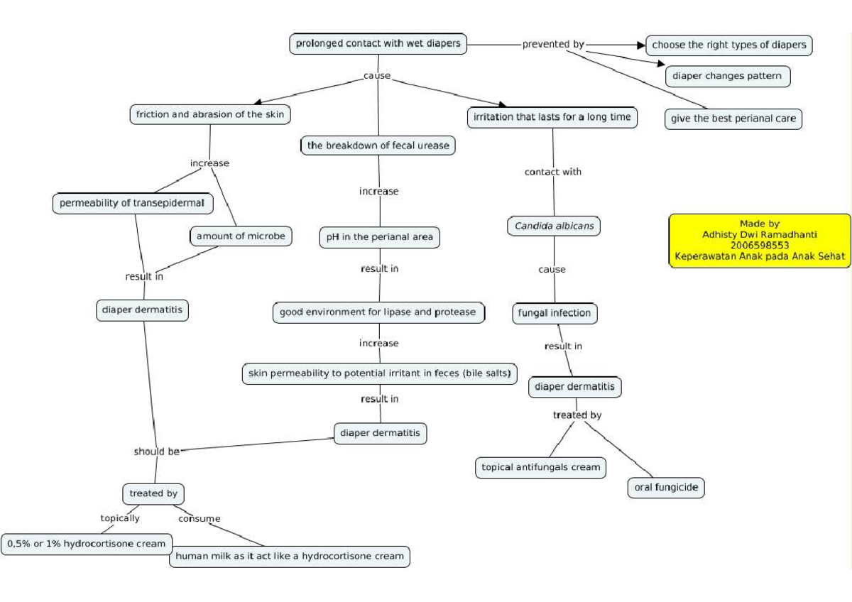 Diaper Dermatitis Pathophysiology: Causes, Symptoms, and Treatments ...