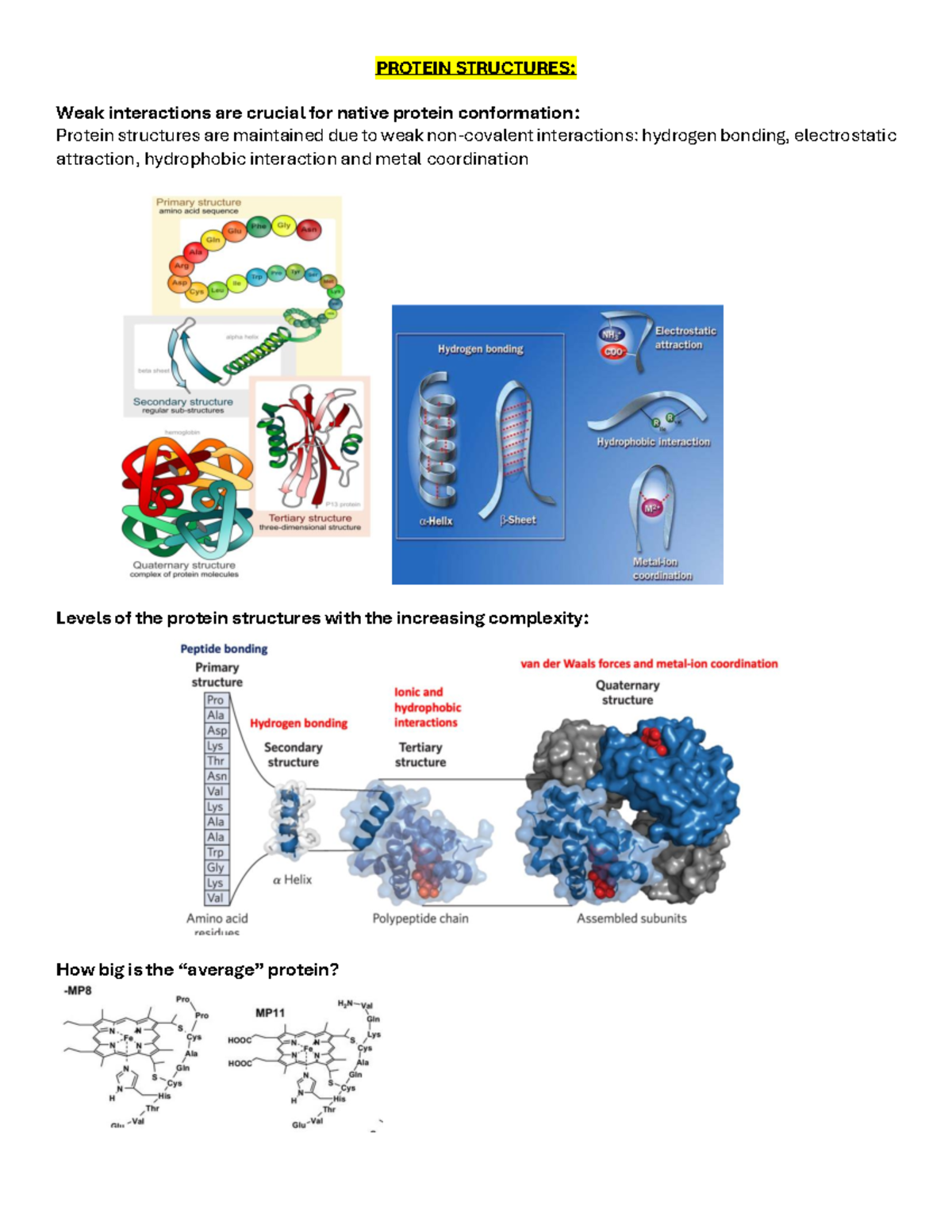 Protein Structures and Functions Analysis: Weak Interactions & Folding ...