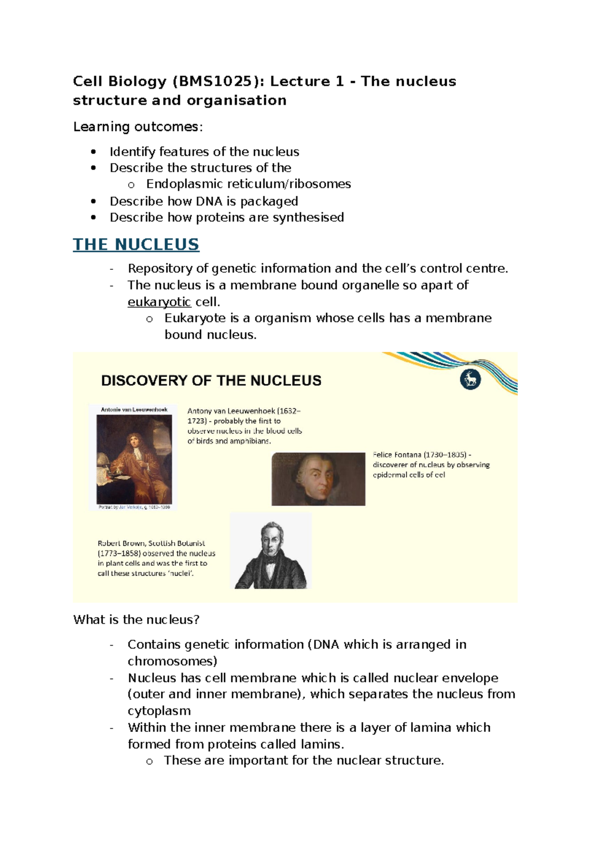 Lecture 1 - The Nucleus - Cell Biology (BMS1025): Lecture 1 - The ...