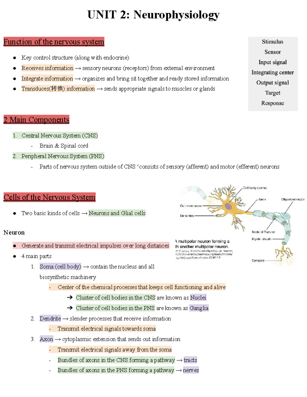 BIOL 273 U2 - Neurophysiology Overview and Key Concepts - Studocu