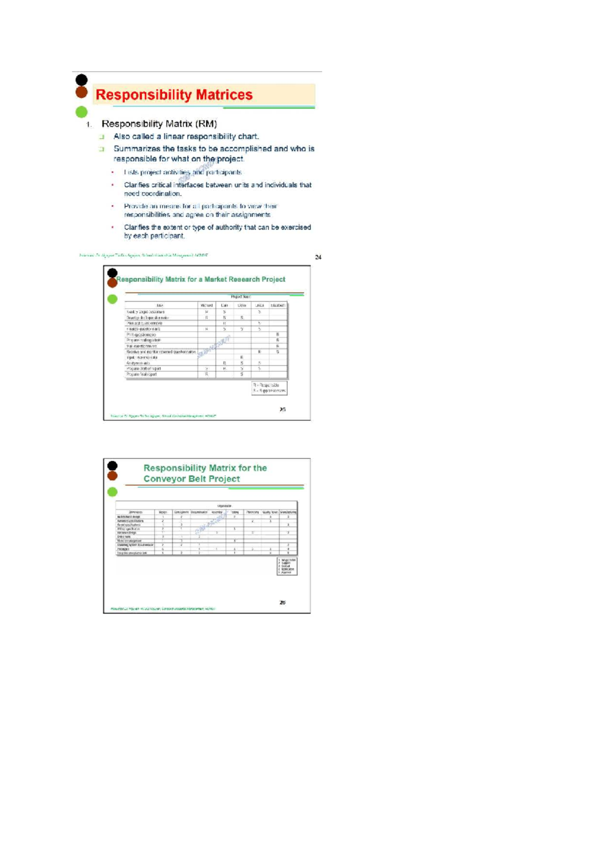 Responsibility Matrix for Market Research Project (PM 101) - Studocu