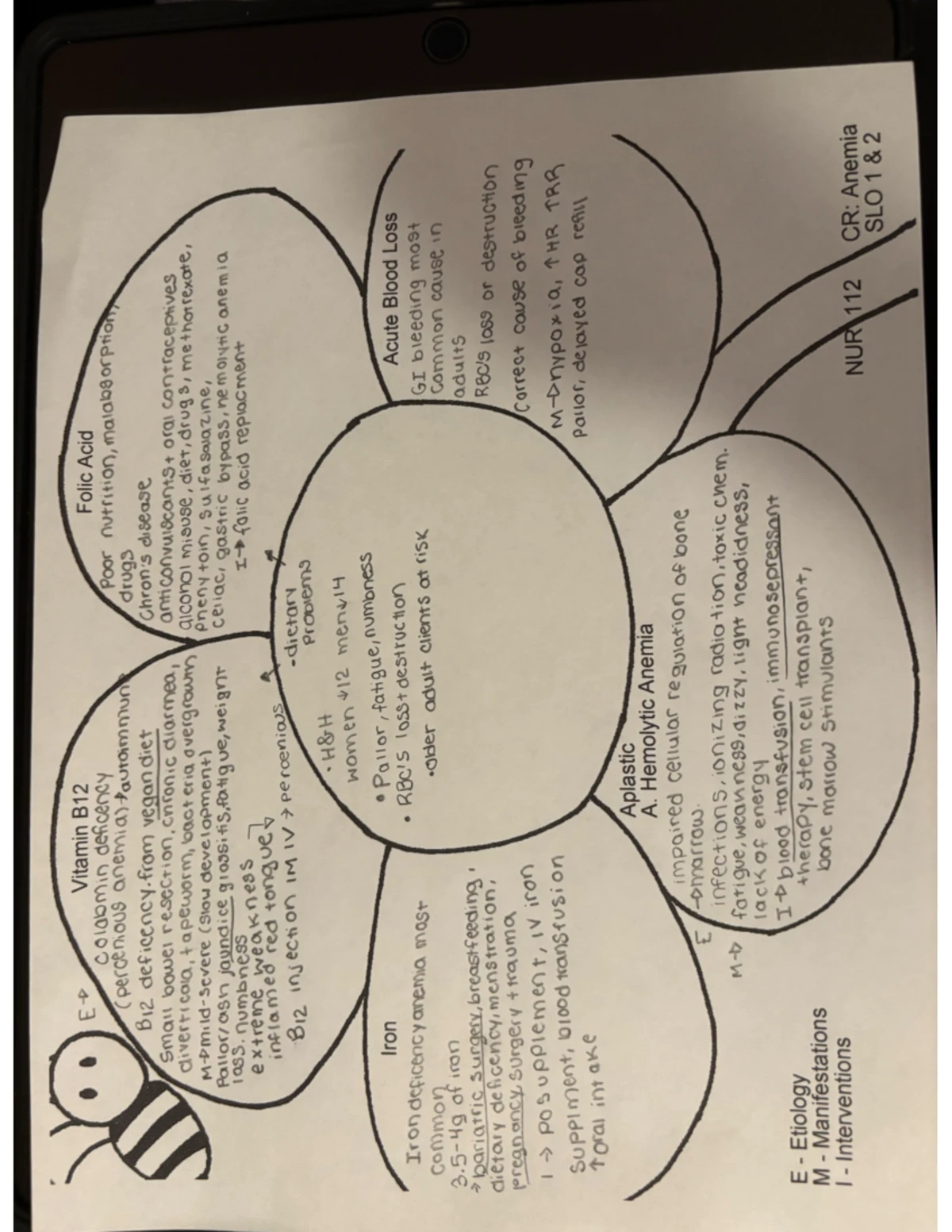 Insulin Overview - NUR 112 Final Exam Study Notes - Studocu