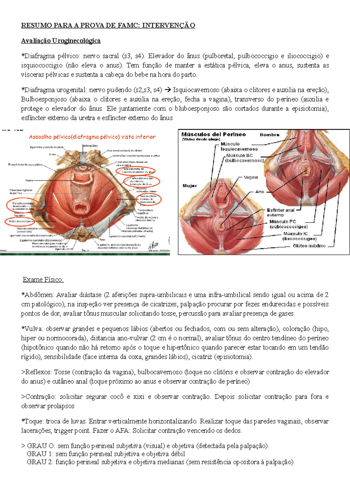 Resumo para prova de FAMC Intervenção