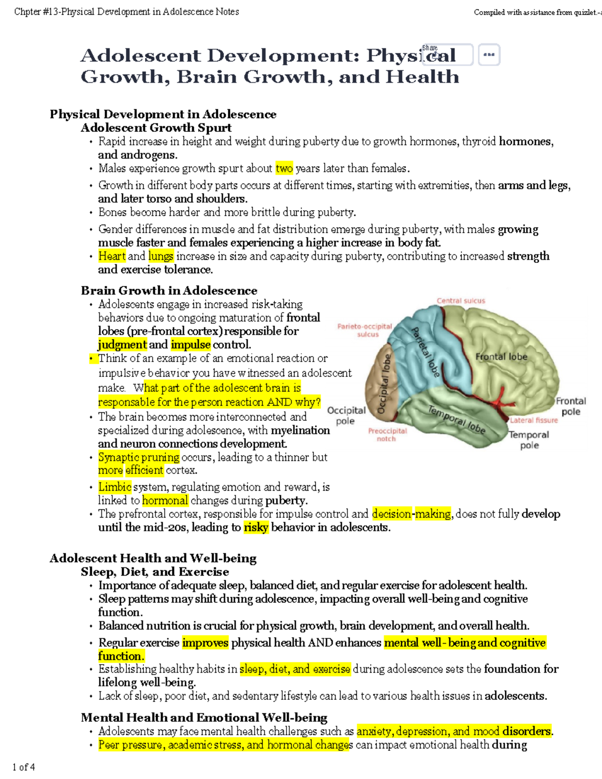 Chapter 13 Study Notes: Physical Development in Adolescence - Dev Psych ...