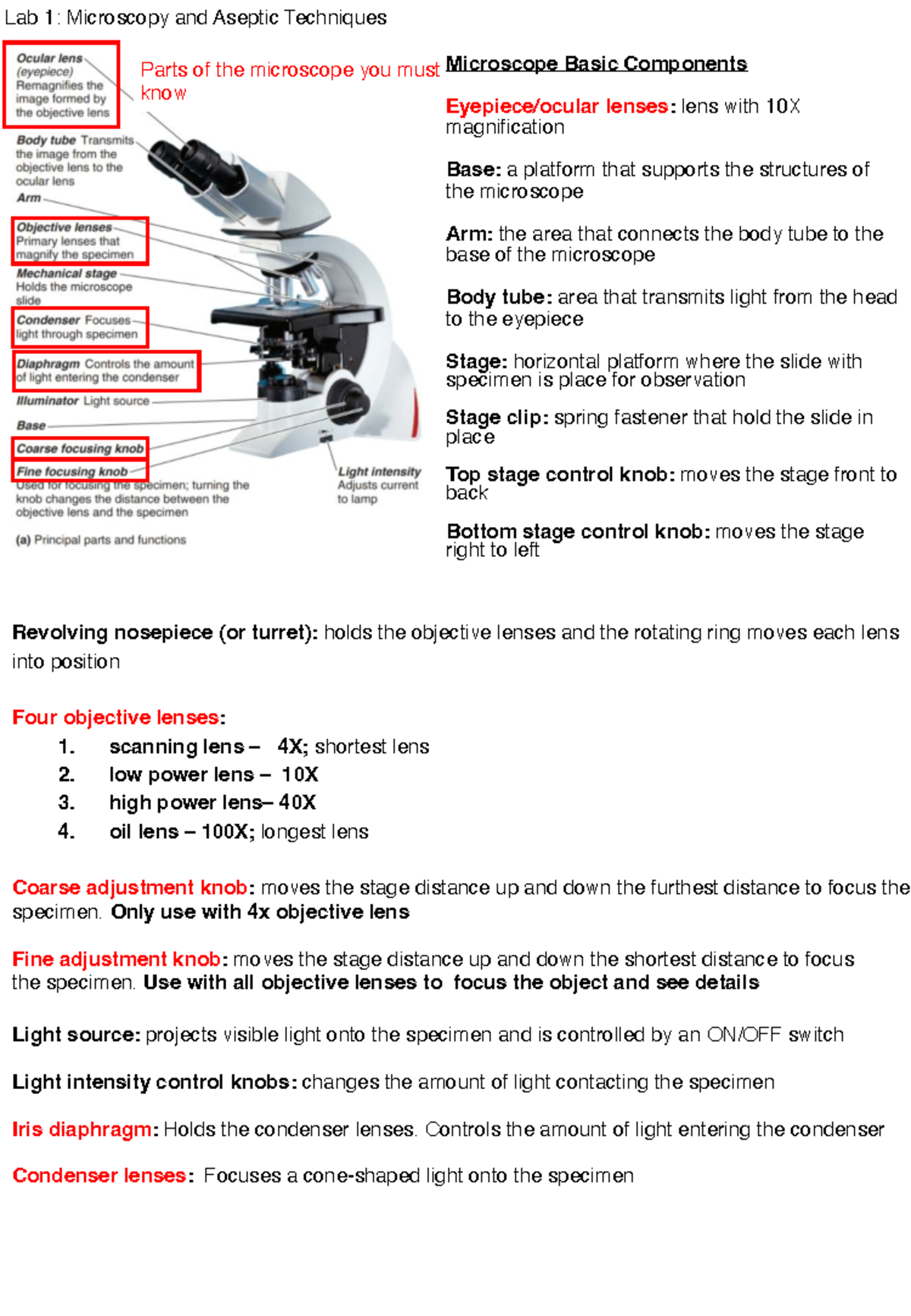 Study Guide for Labs 1-10: Microscopy, Techniques, and Microbial Study ...