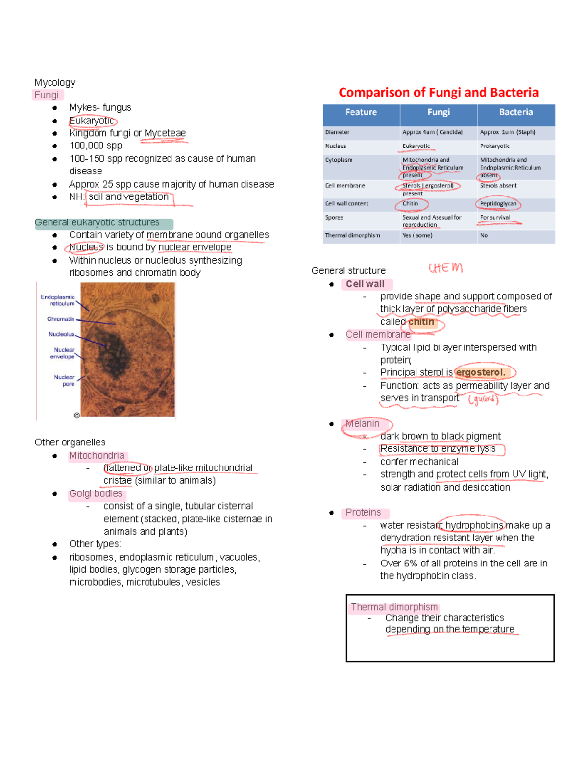 Mycology - Mycology Fungi Mykes- fungus Eukaryotic Kingdom fungi or ...