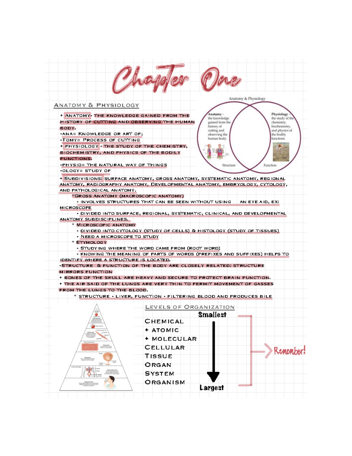 PHYL 141 CH 1 - Intro to Anatomy & Physiology Concepts - Studocu