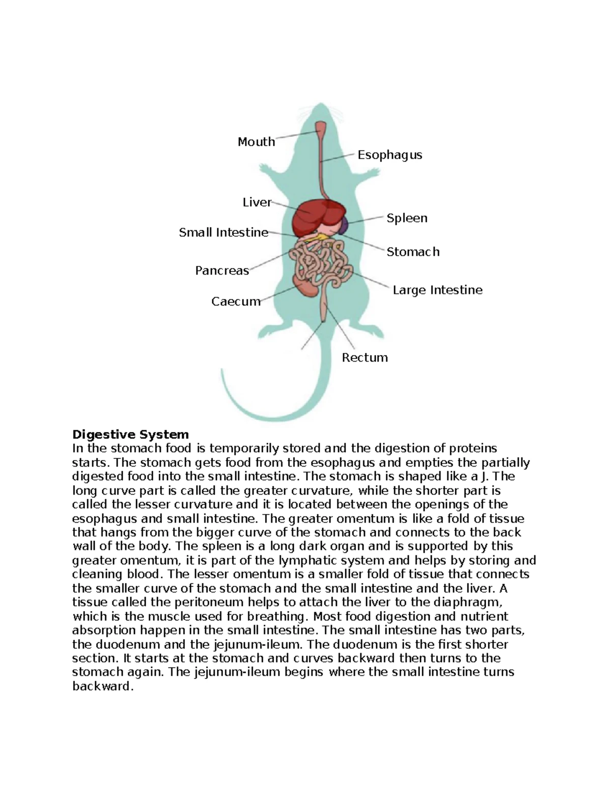 Bio 101 - Midterm Study Guide Fall 2024: Modules 1-7 Overview - Studocu