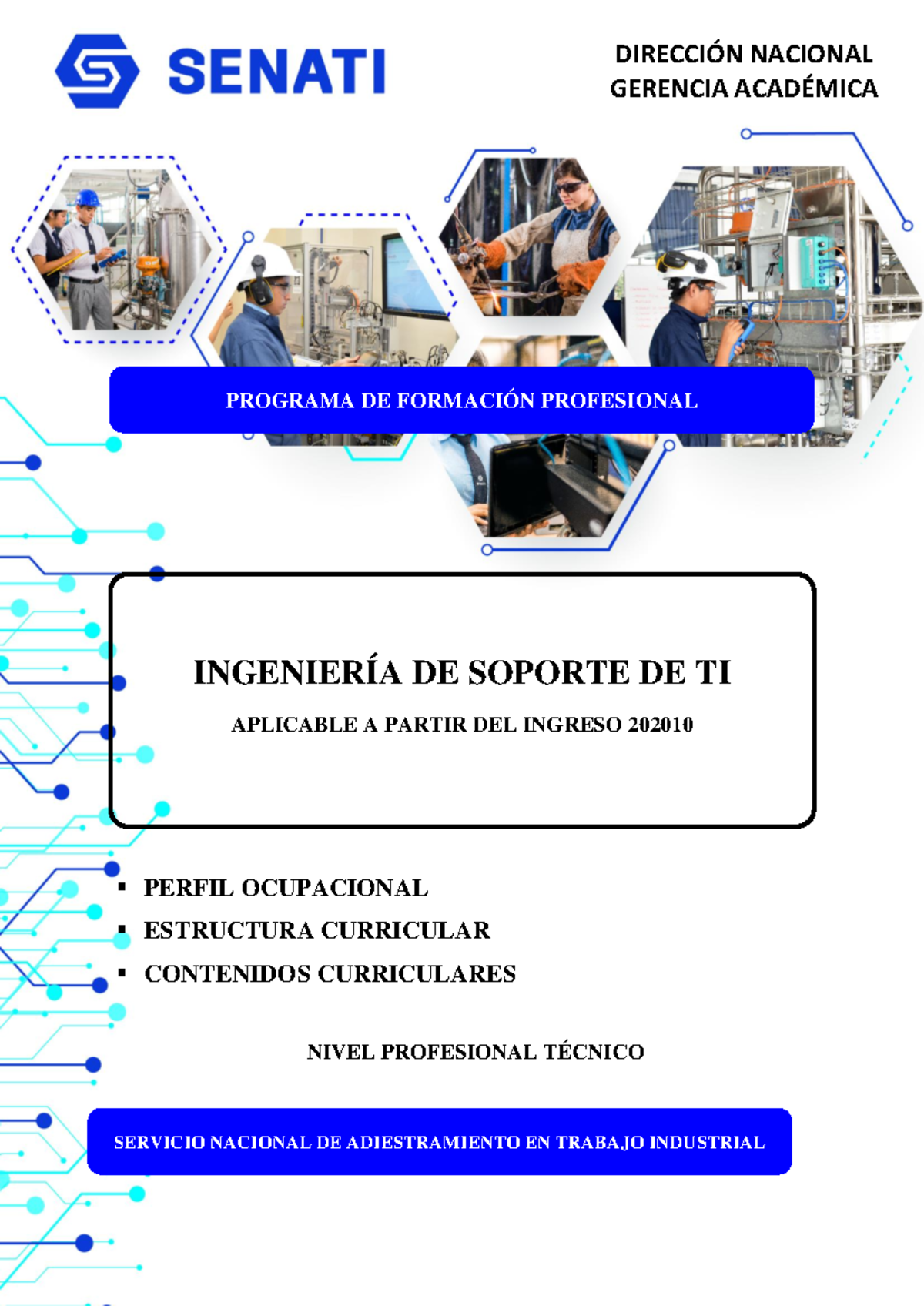 PISD 202010 – Estructura Curricular en Ingeniería de Soporte de TI - Document Preview