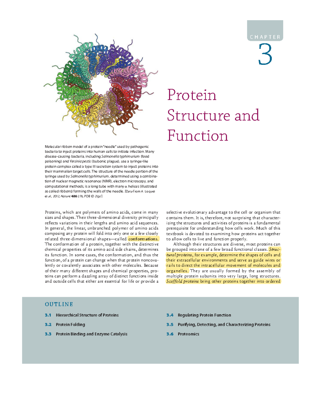 Protein Structure and Function: Chapter Overview and Insights - Studocu