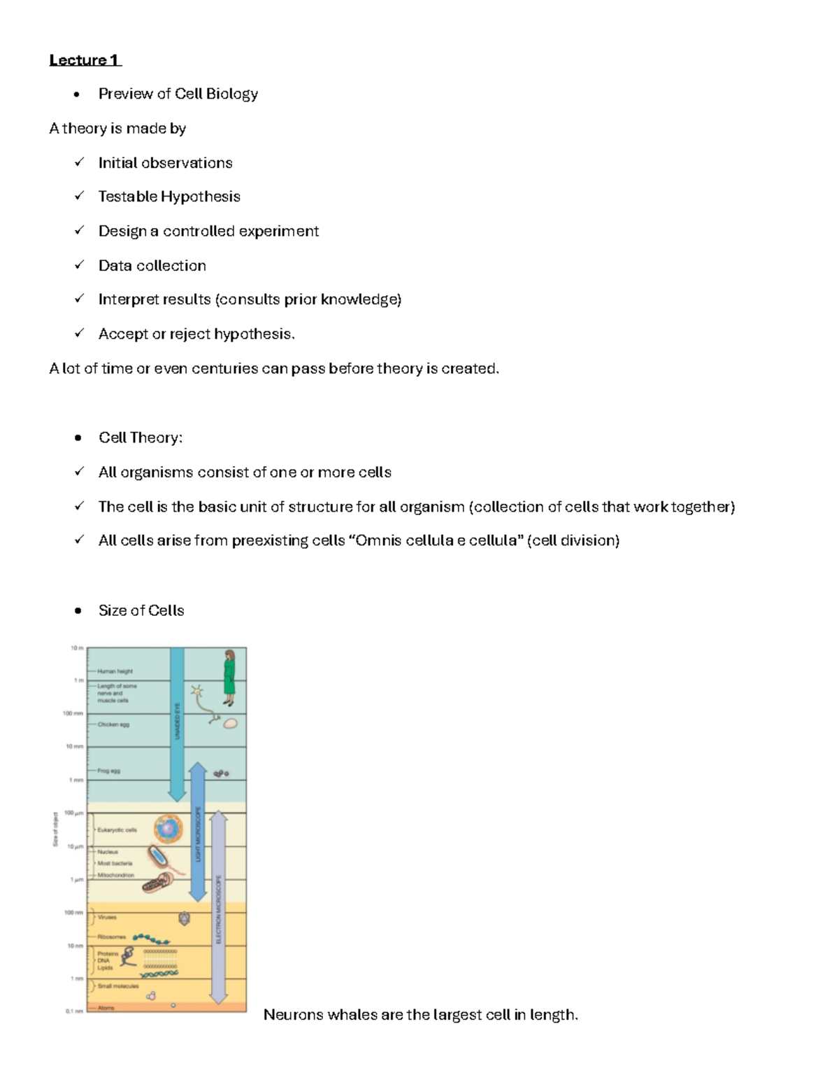Biological Macromolecules and Cell Structure - Lecture Notes (BIO 101 ...