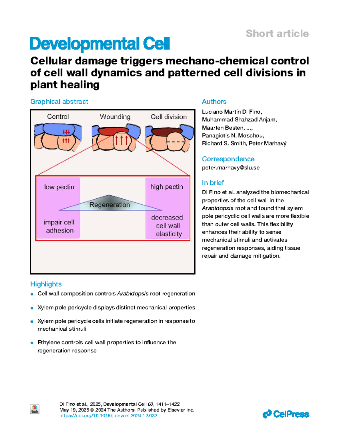 Cellular Damage and Control of Cell Wall Dynamics in Arabidopsis (DEV ...