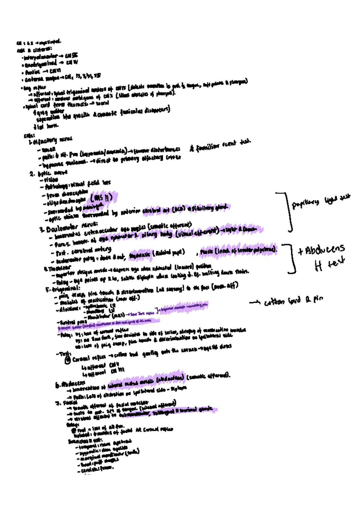 CNs - Comprehensive Guide for University Preparation - Studocu