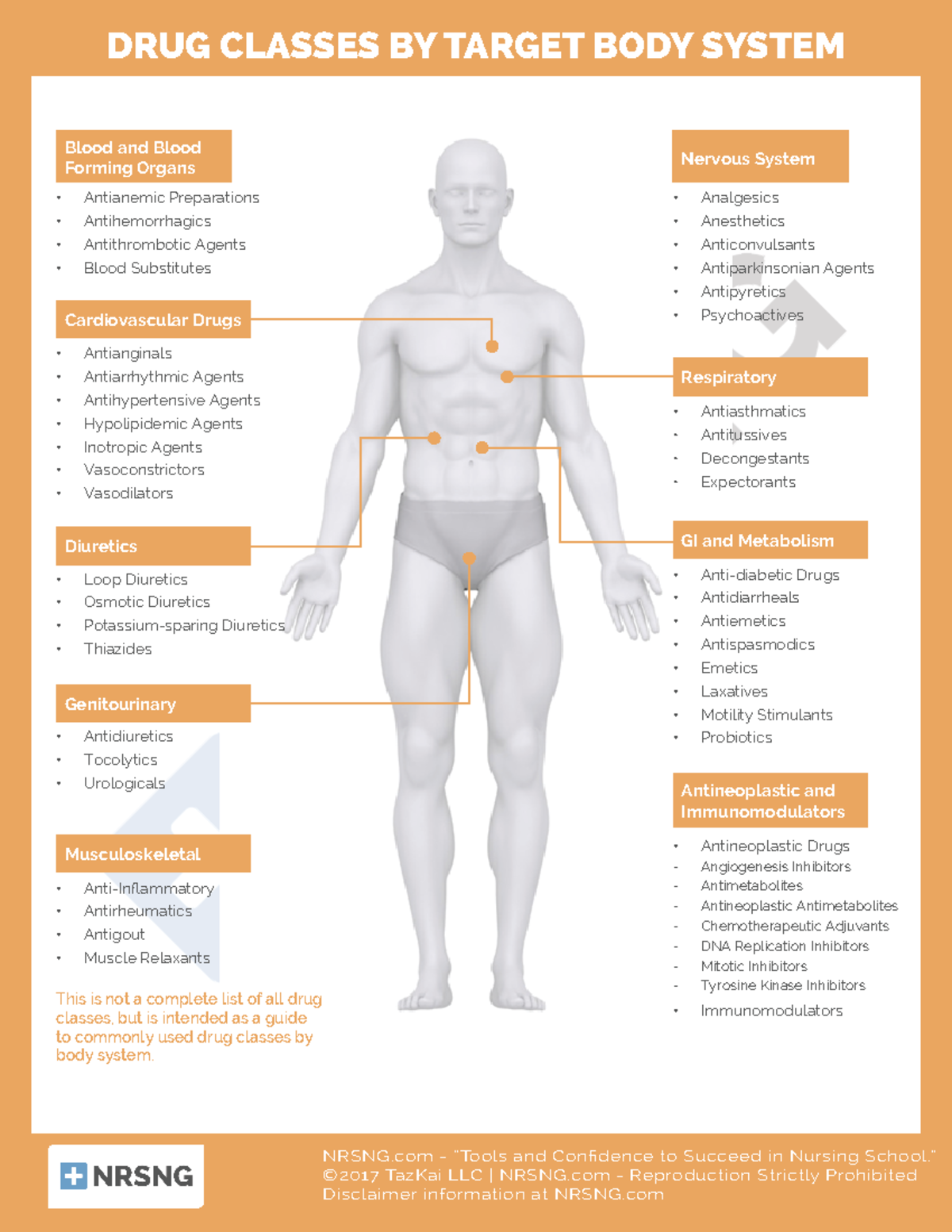 Pharm-1.29-Drug Classes Organized by Body System Overview - Studocu