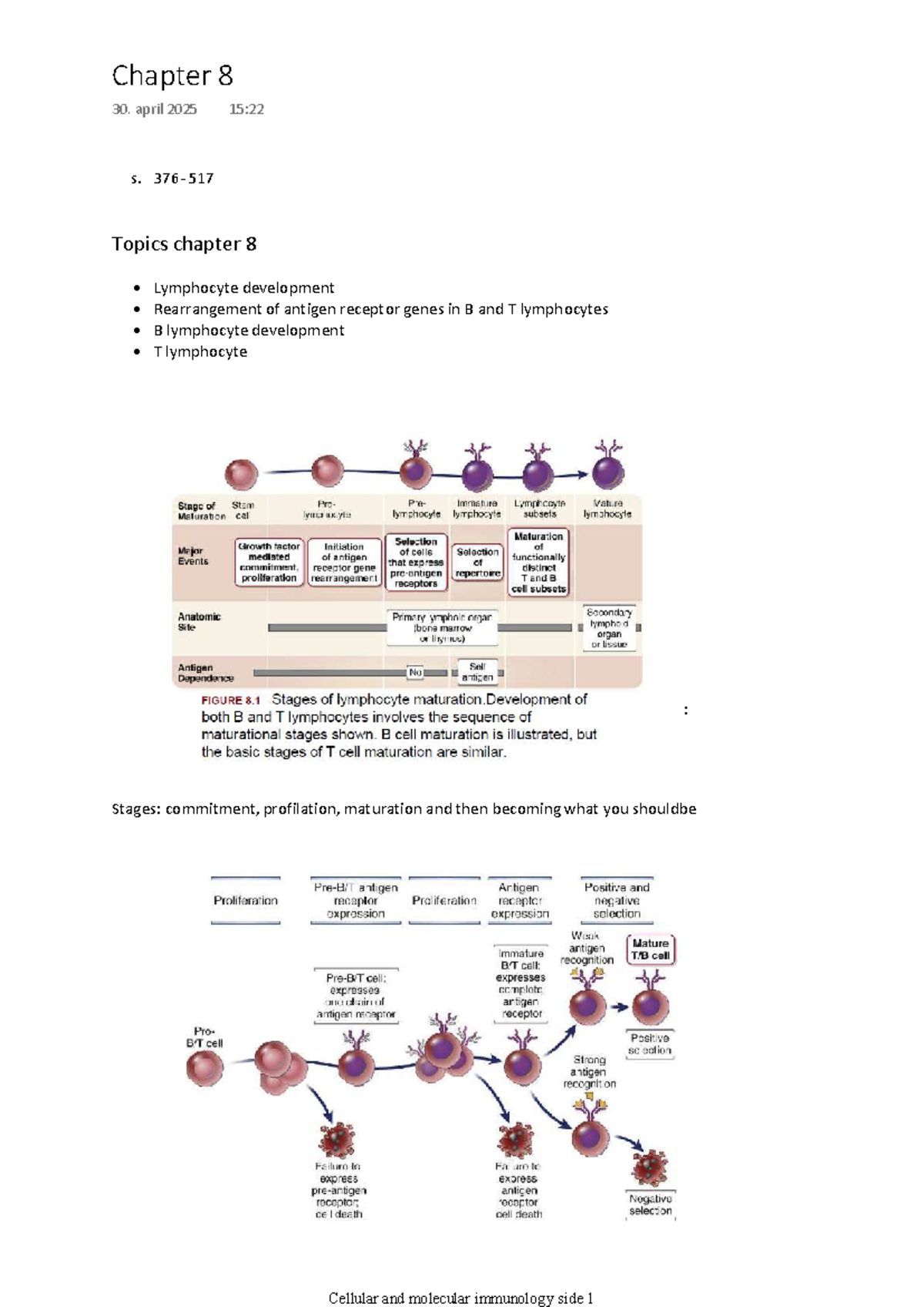 Chapter 8 - Summary of Lymphocyte Development & Activation in Cellular ...