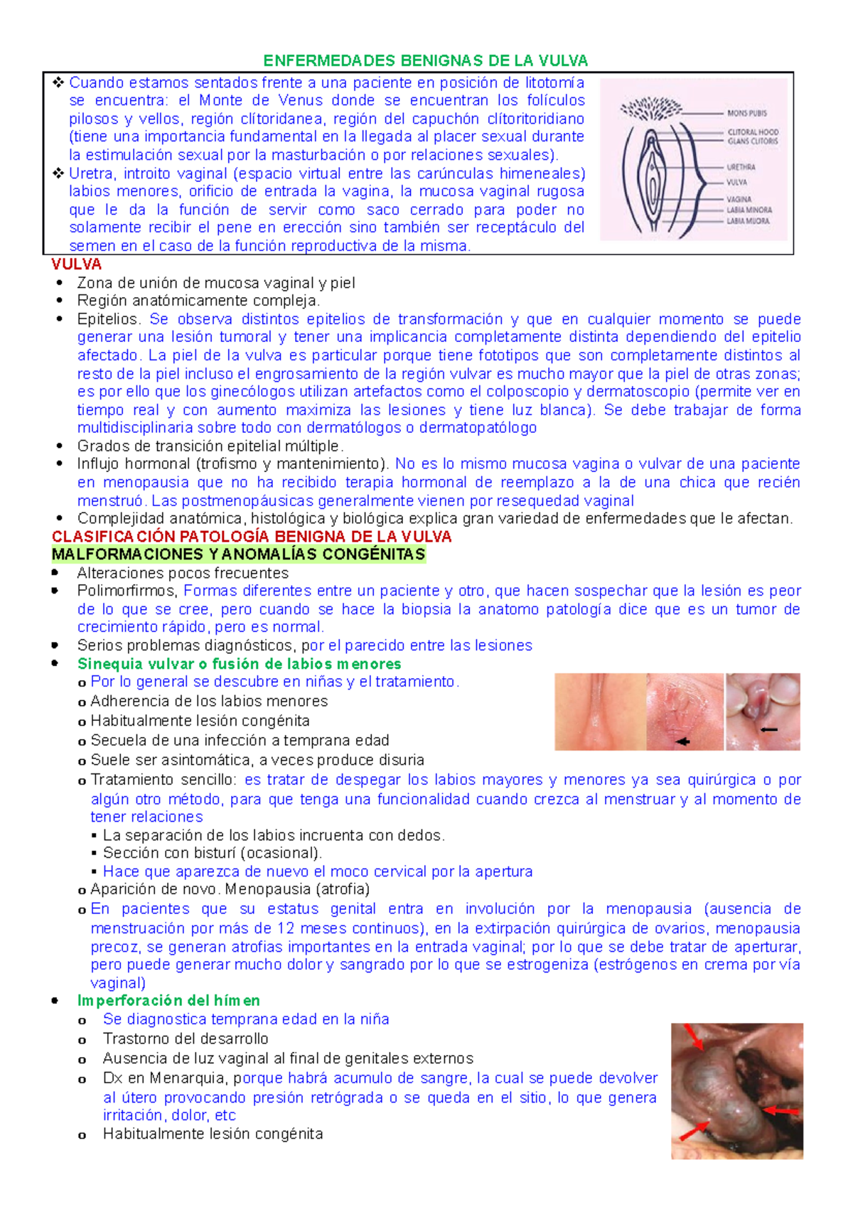 Enfermedades Benignas de la Vulva: Clasificación y Diagnóstico - Studocu