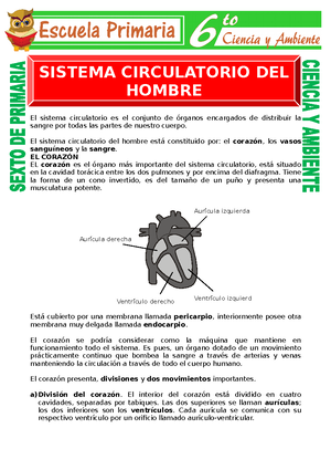 Leyes Y Normas Que Promueven Los Derechos De Los Pueblos Indígenas De