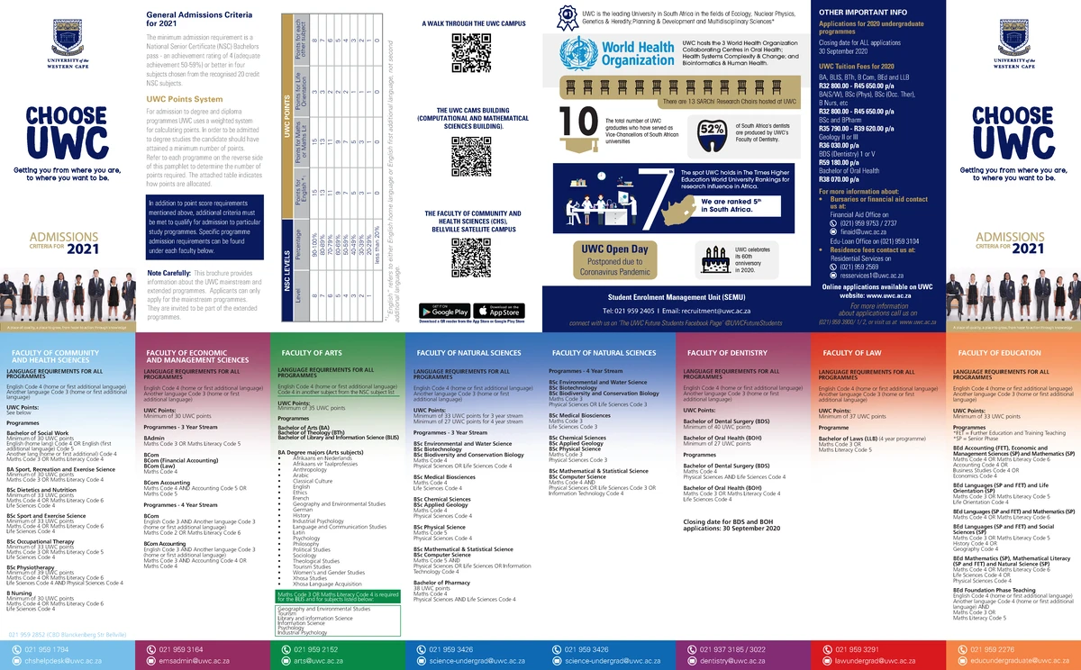 Understanding Frontal Lobe Functions & Injuries: A Comprehensive Guide ...