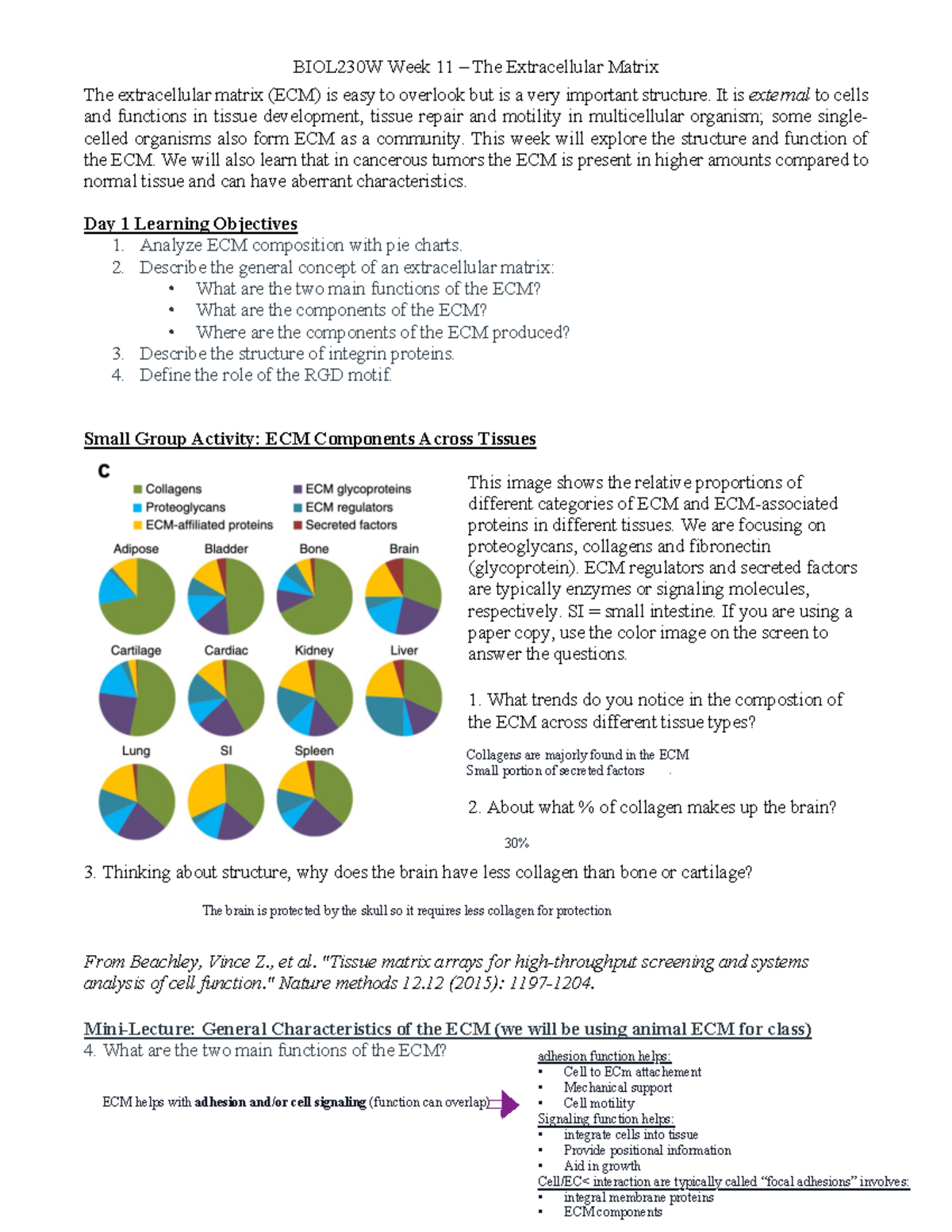 BIOL 302 Lecture - The Importance and Functions of the ECM in Health ...