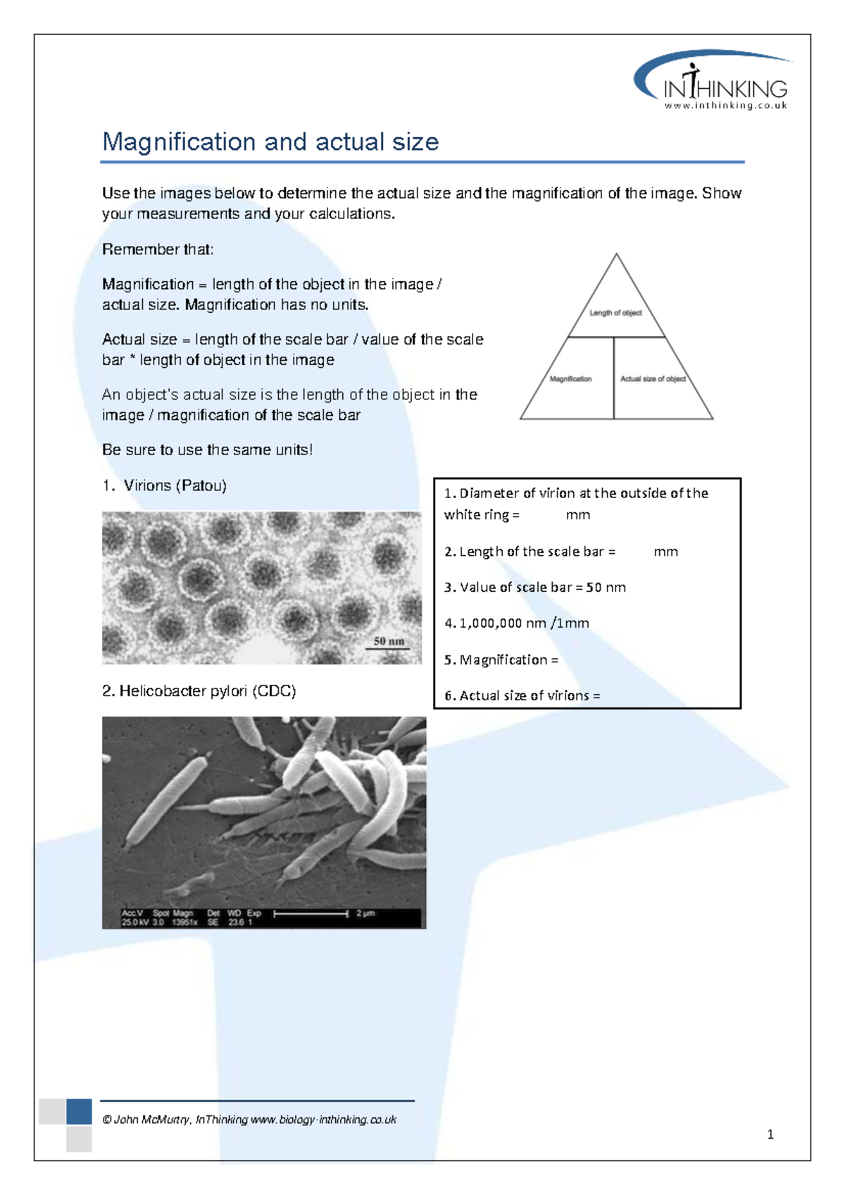 Magnification and Actual Size Calculations - Biology Notes - Studocu