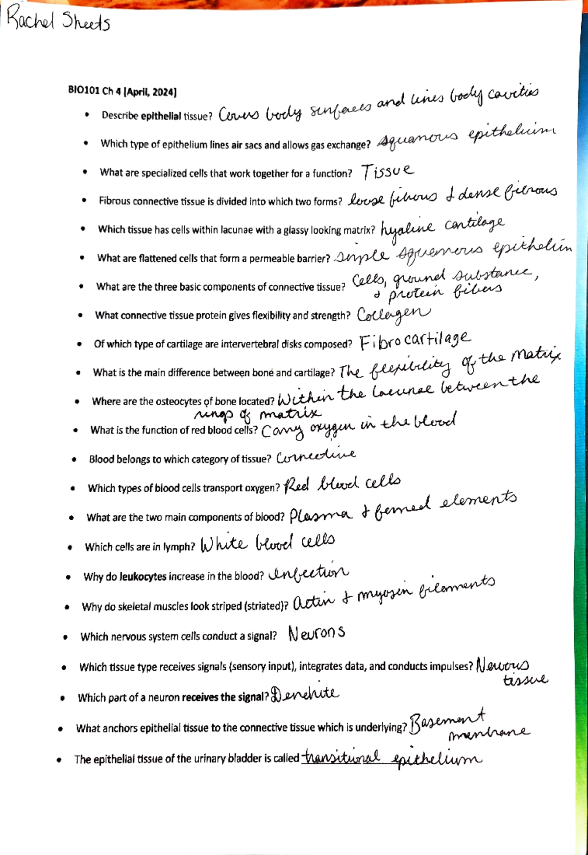 BIO101 Chapter 4 Notes: Epithelial and Connective Tissues Overview ...