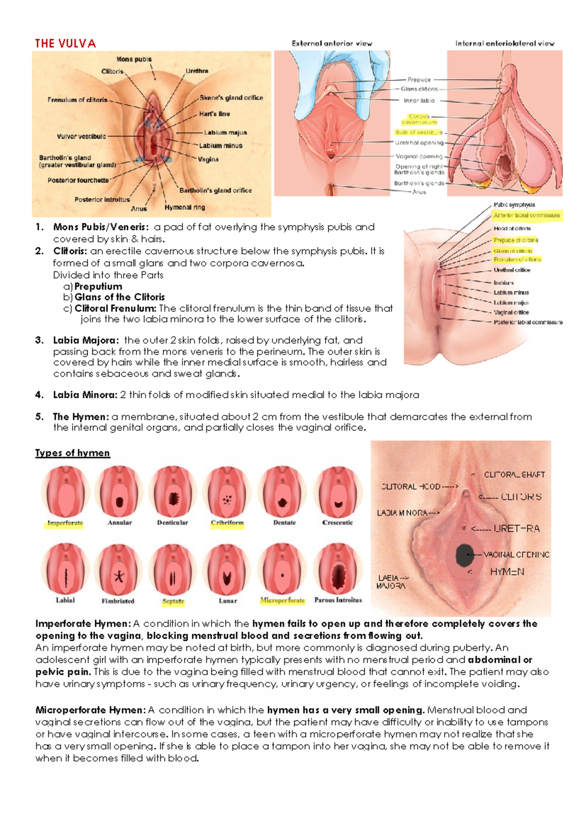 Tukli mushuk jinsiy olatni yaqindan korish