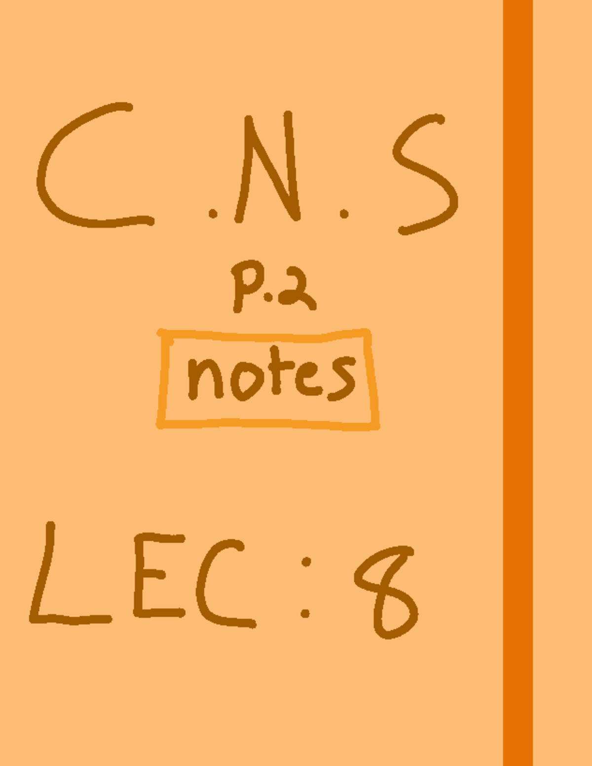 Week 4 - Lecture 8: PT.2 - C . ####### N . S P. 2 Notes LEC : S The C ...