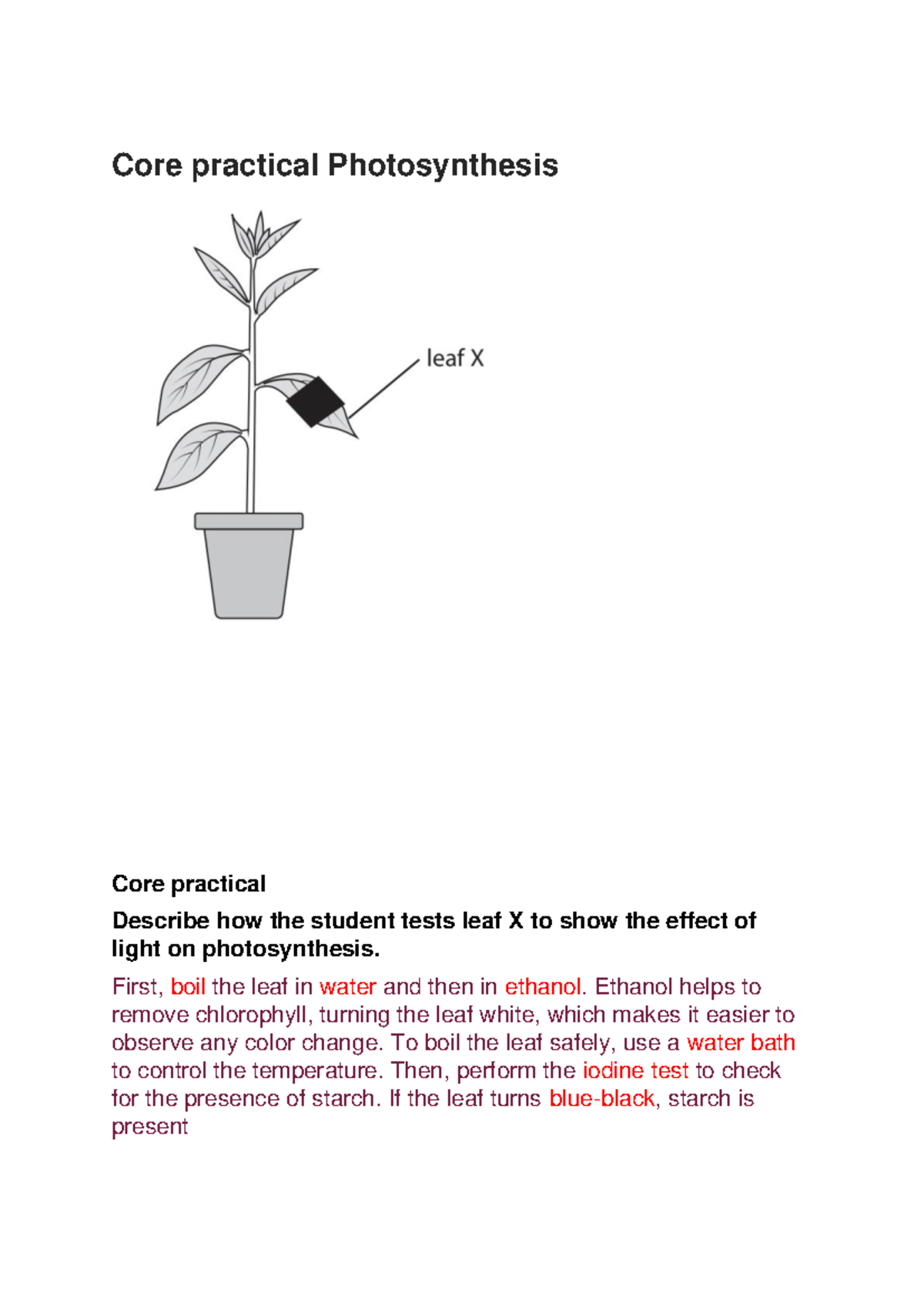 文档 - gooo - Core practical Photosynthesis Core practical Describe how ...