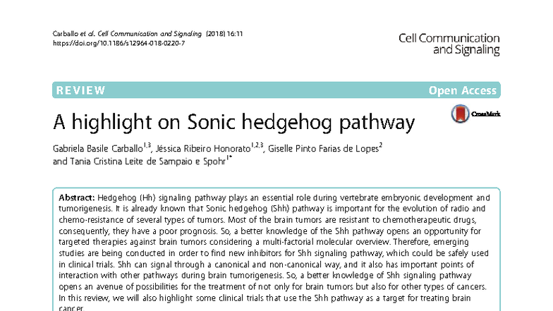S12964 018 0220 7 - Review of Sonic Hedgehog Pathway in Brain Tumors ...