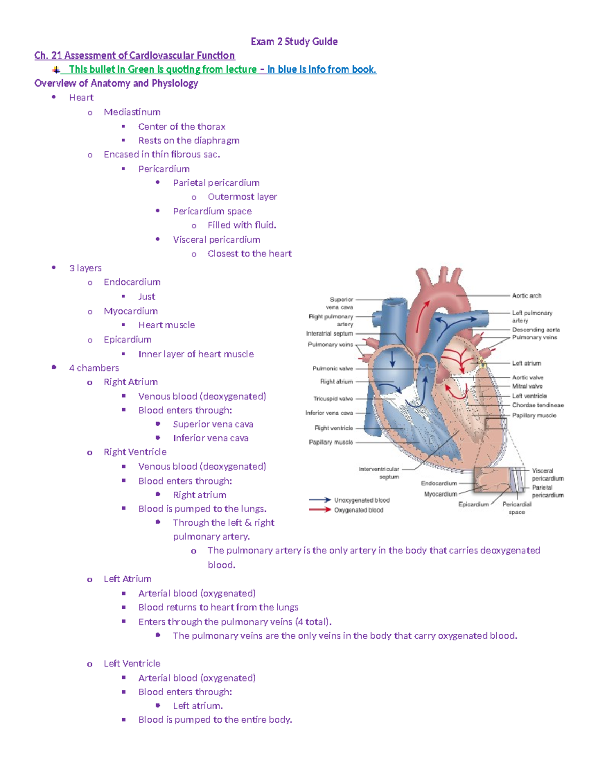 Exam 2 Study Guide - great - Exam 2 Study Guide Ch. 21 Assessment of ...