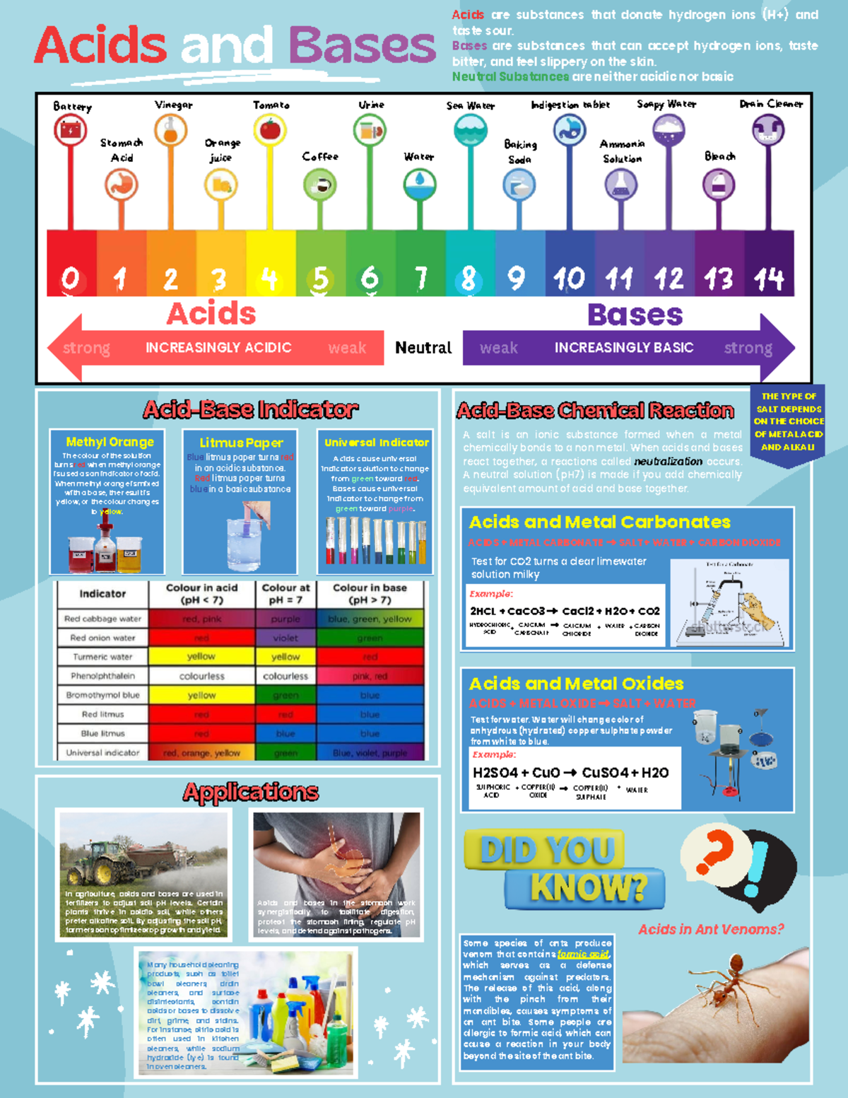 Acids and Bases 8 - Acids and Bases Blue litmus paper turns red in an ...