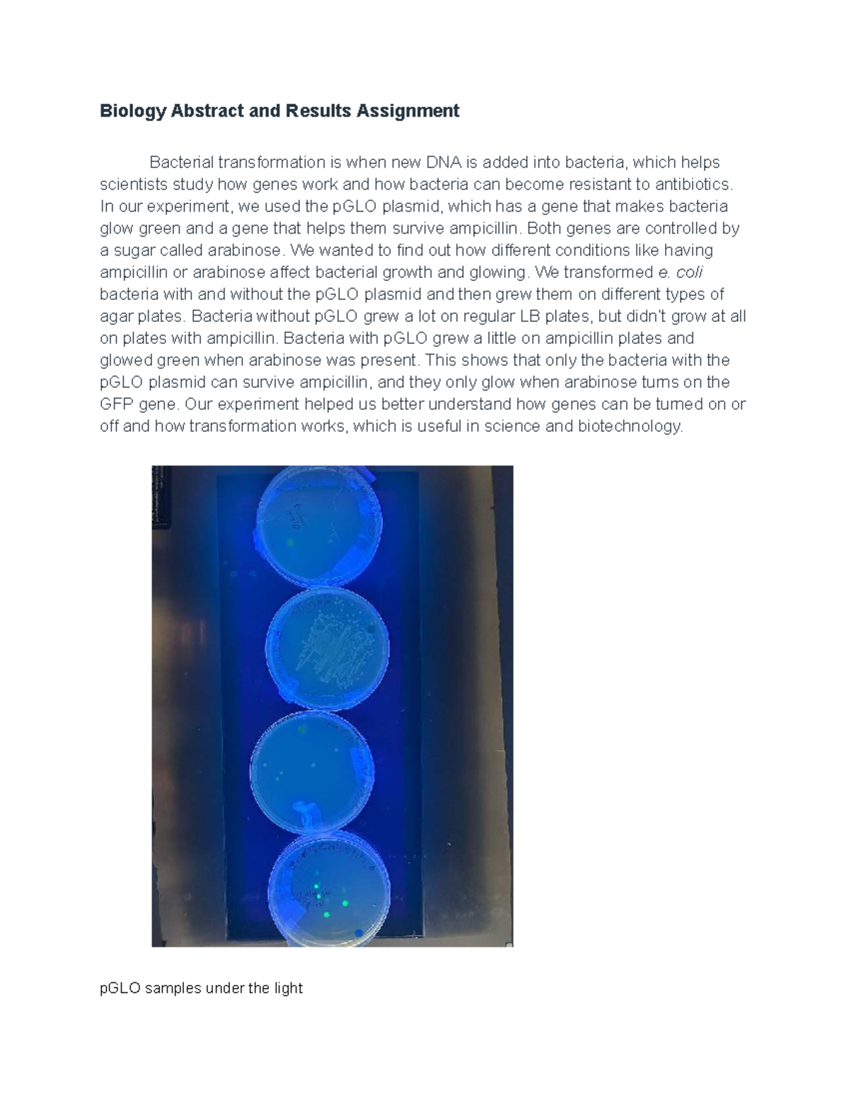 Biology 101: Abstract & Results on Bacterial Transformation Experiment ...