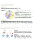 NCEA level - 12 (NCEA 2) - National Certificate of Educational ...