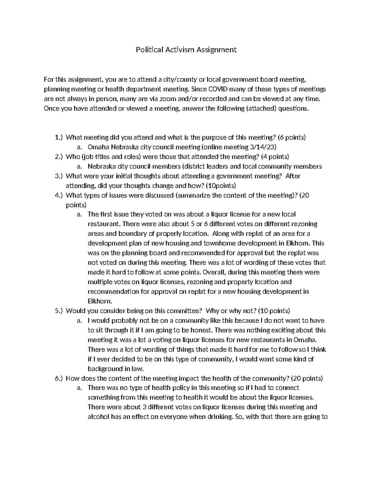 Political Activism Assignment: Insights from Local Government Meeting ...