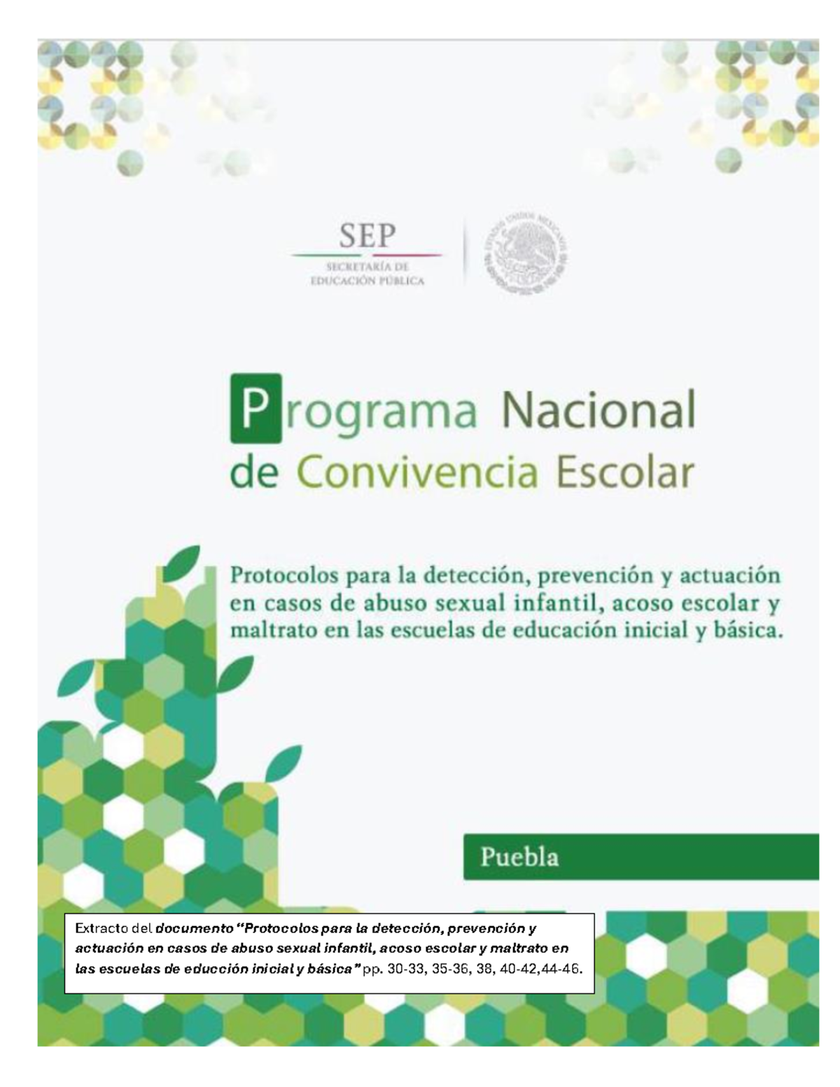 Protocolos para la detección prevención y actuación en casos de abuso ...