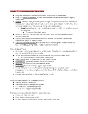 Genetics Exam 2 Study Notes: DNA Structure & Replication Insights - Studocu