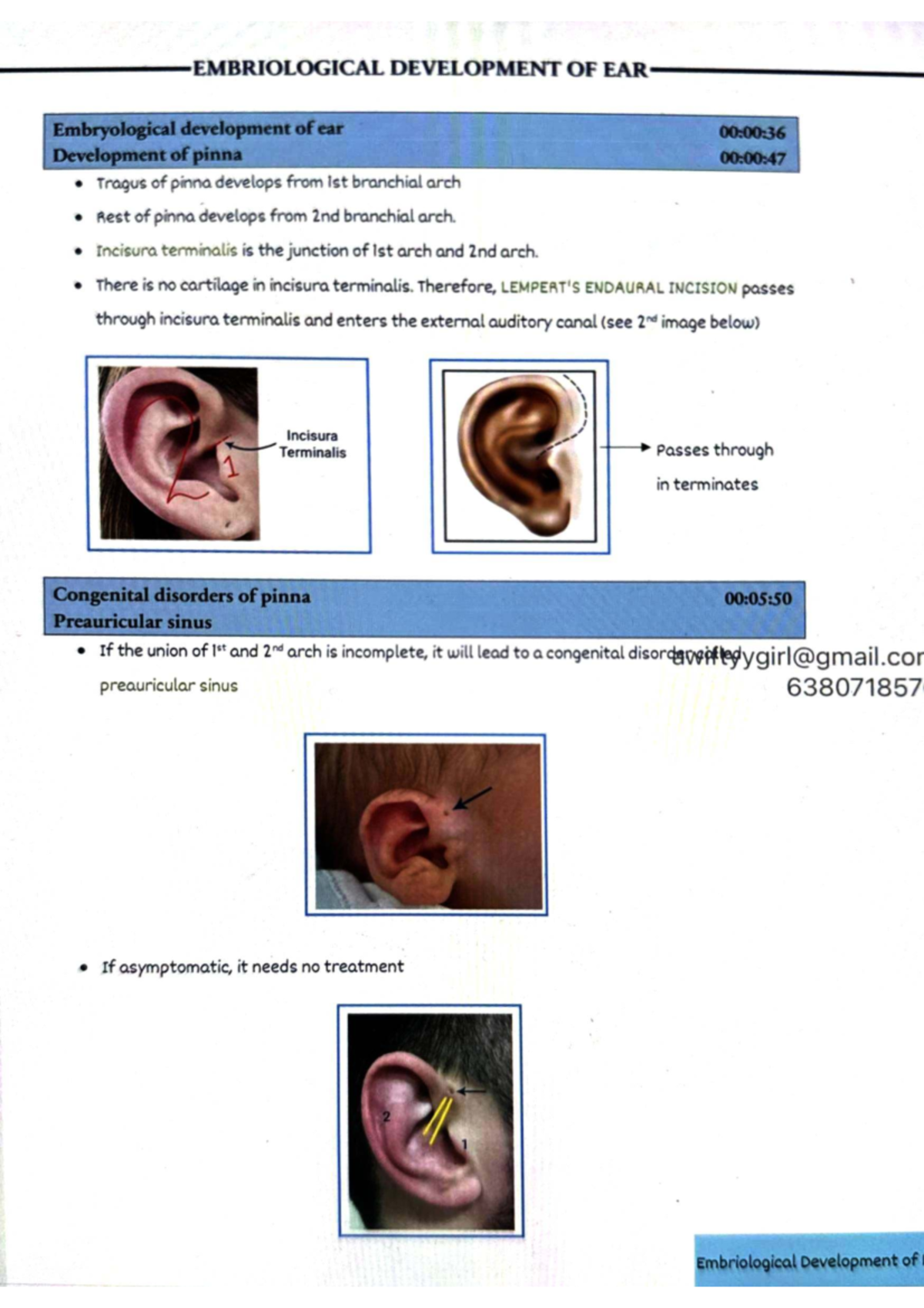 Embryological Development of Ear: Key Concepts and Anomalies (638071857 ...