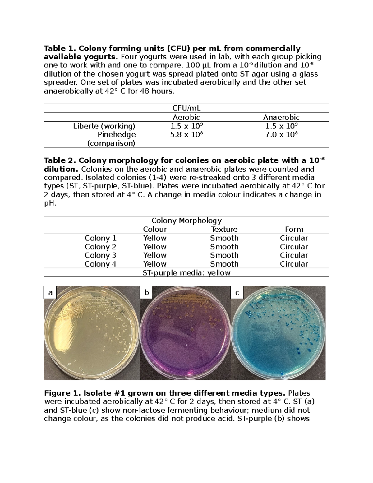 Lab Report: CFU Analysis of Commercial Yogurts - Tables & Figures - Studocu