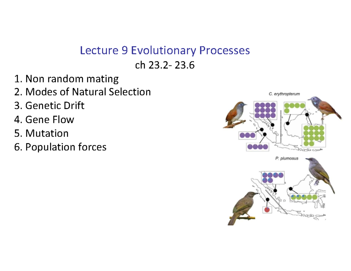 BIO 1331: Lecture 9 on Evolutionary Processes and Natural Selection ...