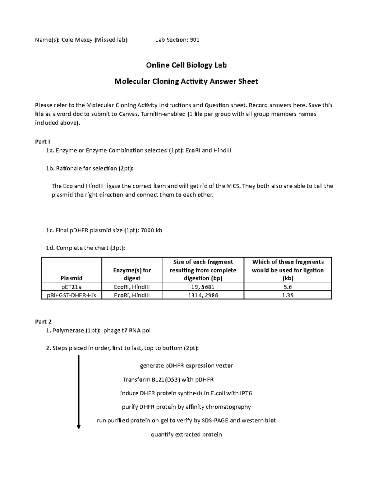 Cell Bio Lab Final Exam PII Answer Sheet cs - Name: Caila Sanford Lab ...