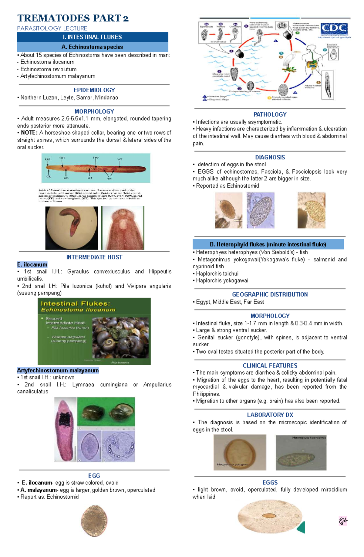 Trematodes Part 2: Clinical Features and Diagnosis in Parasitology ...