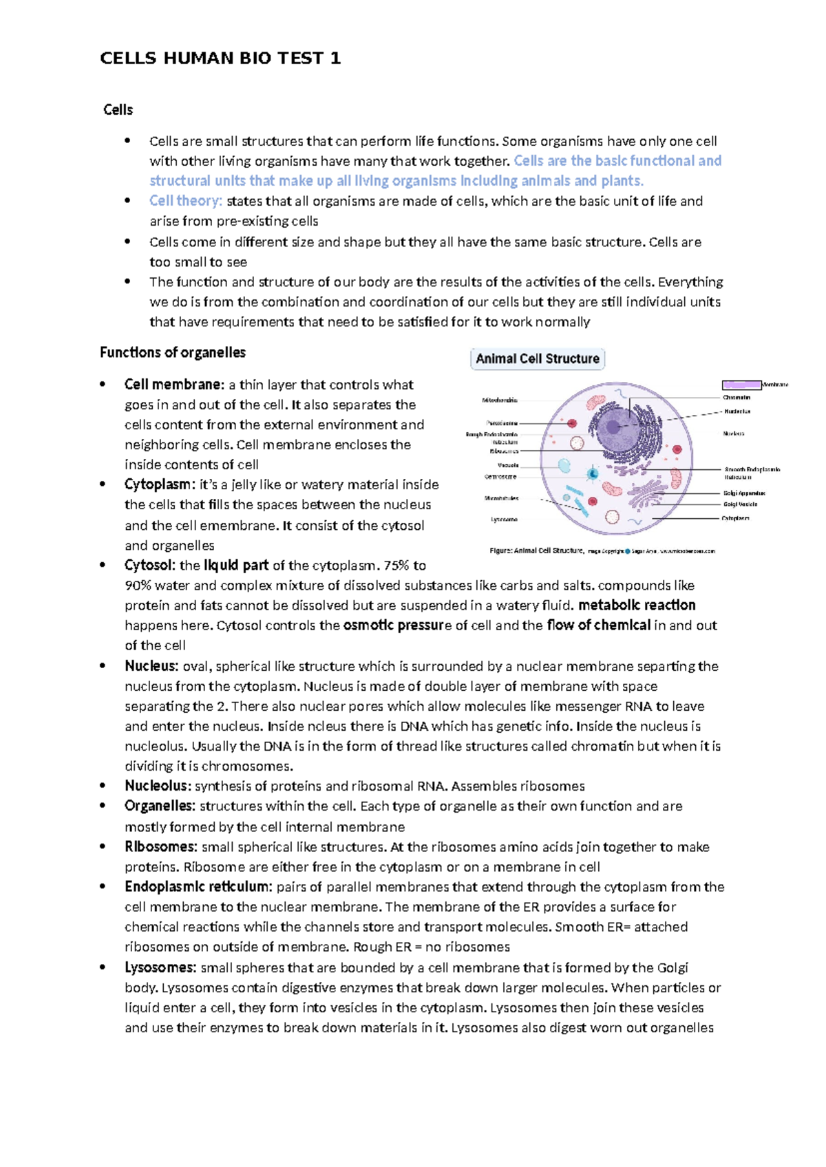 Cells Human Bio Test 1: Understanding Cell Structure and Functions ...