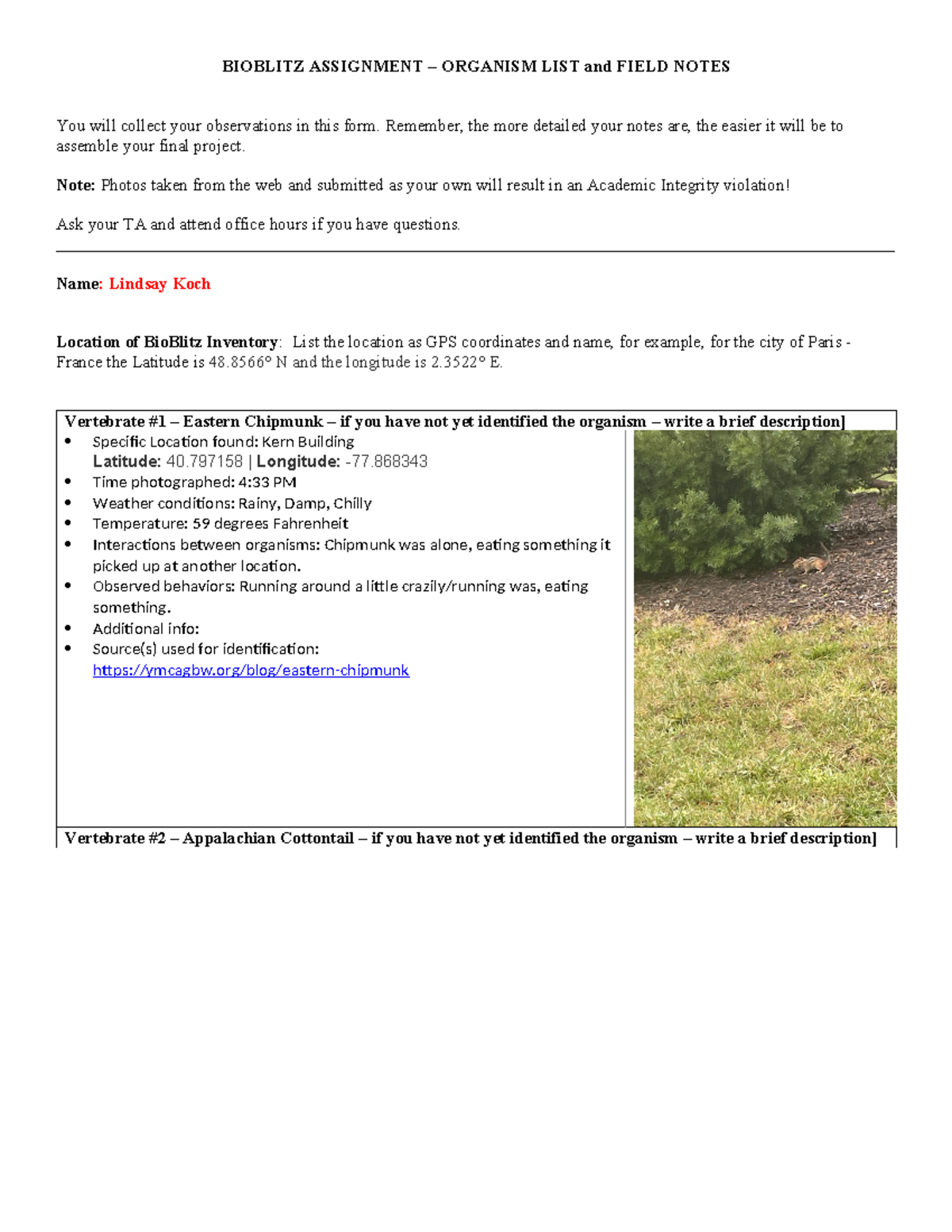 BIOBLITZ FIELD NOTES – ORGANISM OBSERVATIONS & DETAILS - Studocu