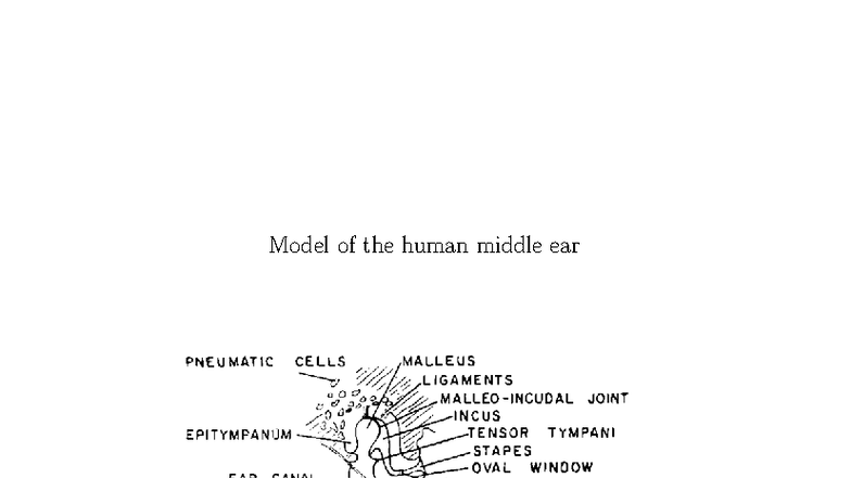 02 Physiology Modelling of Ear: Middle Ear Practice Exercise - Studocu