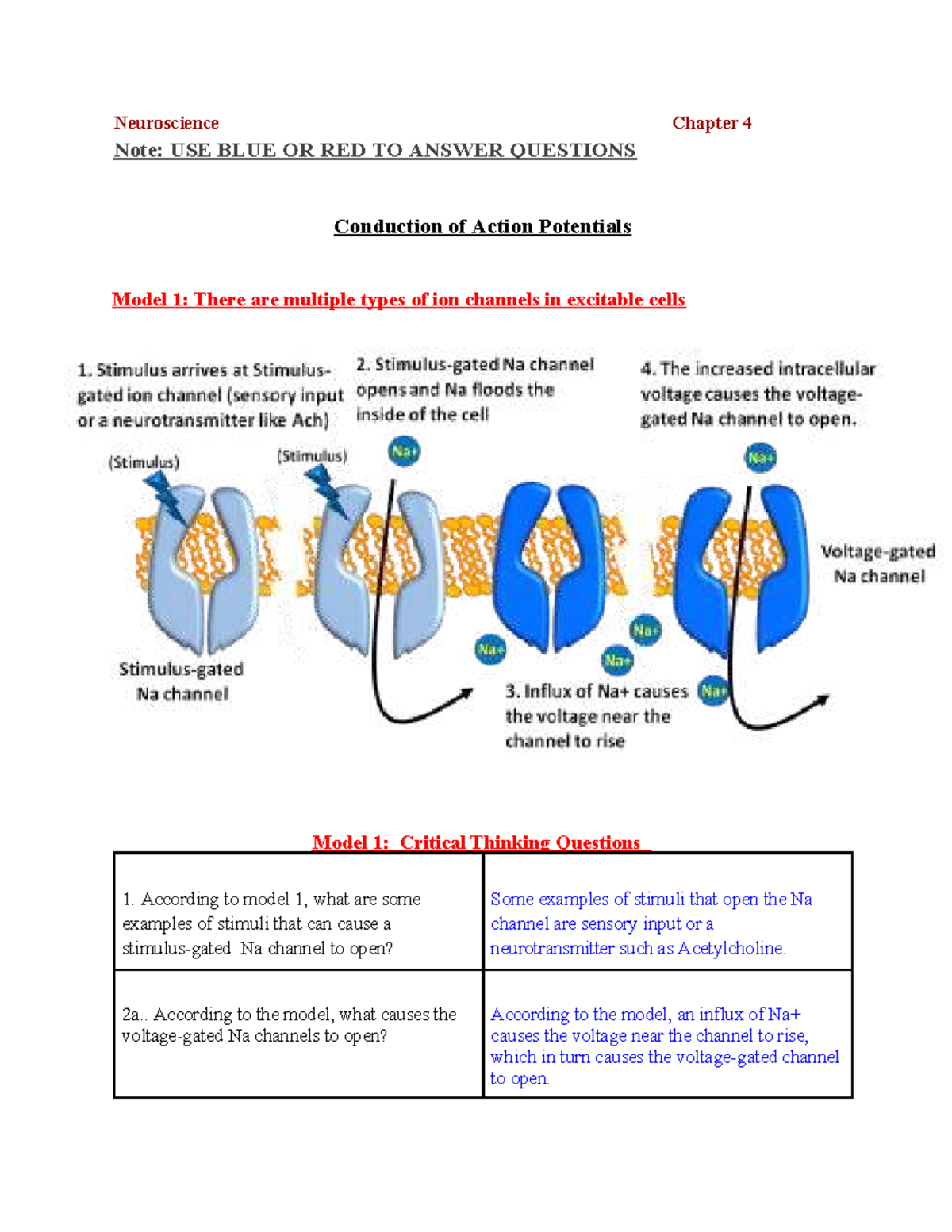 Neuroscience Chapter 4: Conduction of Action Potentials Notes - Studocu