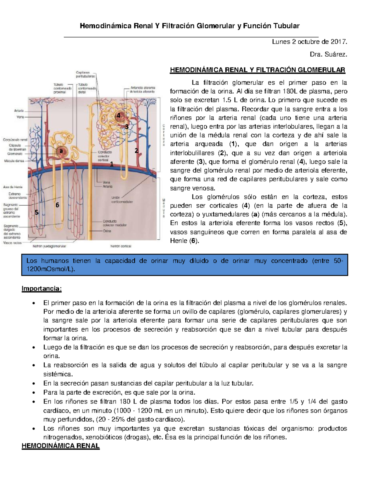 Hemodinámica Renal y Filtración Glomerular: Resumen Clave - Document Preview