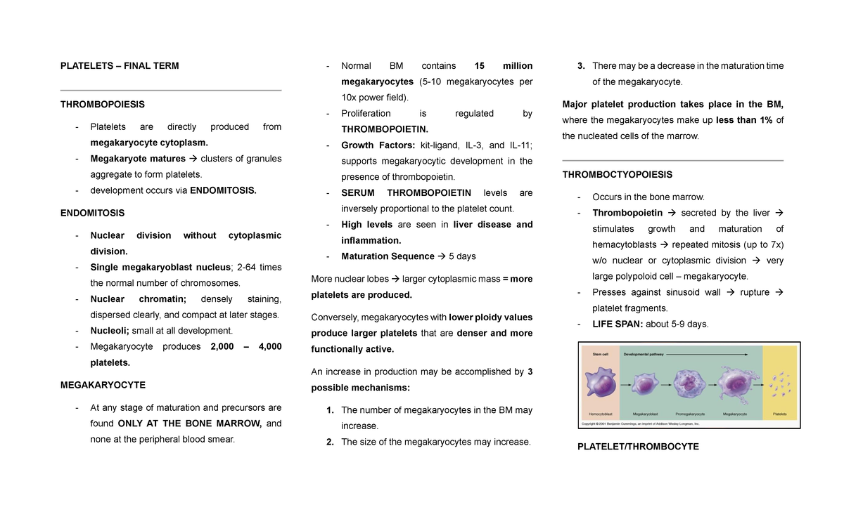 HEMA 1 - Final Exam Notes on Platelets and Thrombopoiesis - Studocu