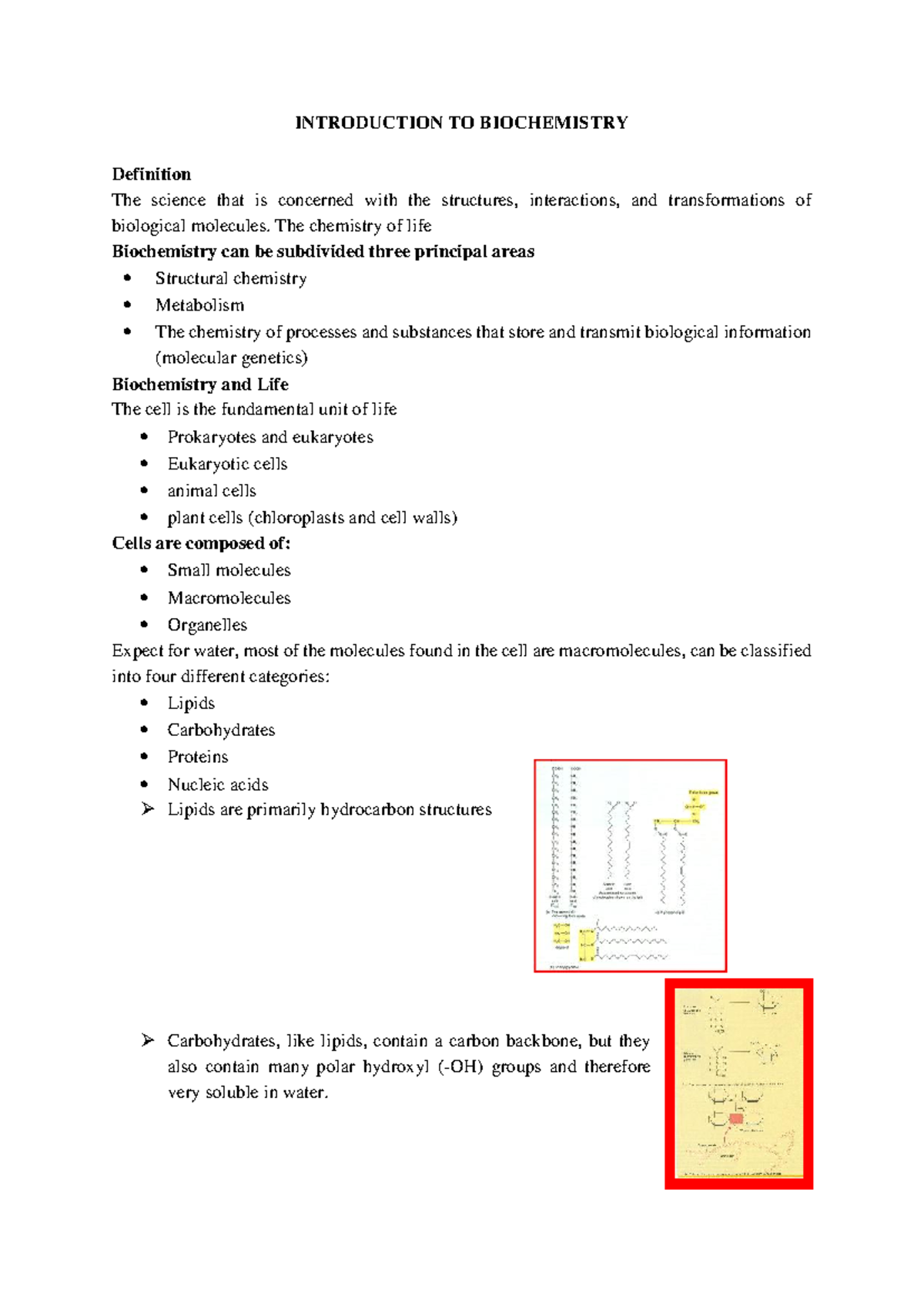 Fundamentals of Biochemistry: Key Concepts and Structures - Studocu