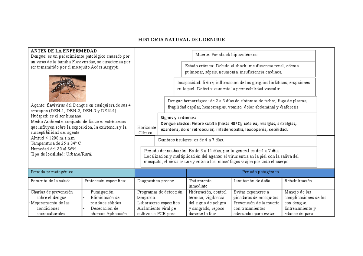 Historia natural del dengue - HISTORIA NATURAL DEL DENGUE ANTES DE LA