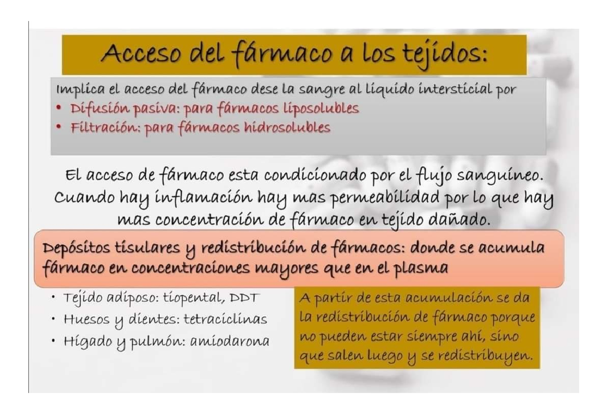 Impacto del Plástico en Salud y Ambiente | PDF | El plastico | Residuos, image size:1200x819